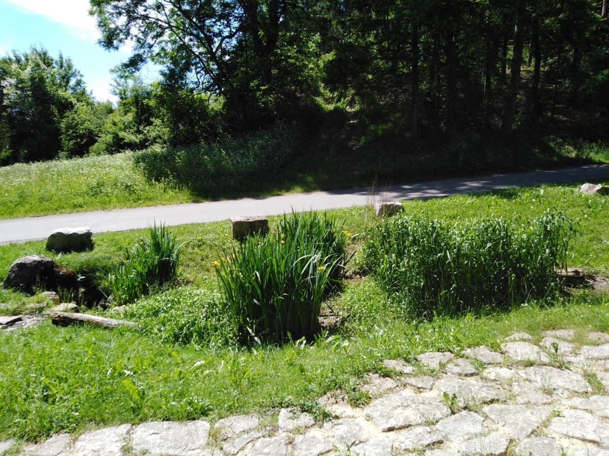 Ferienwohnung Mit Kleinem Garten Sonnenbühl Esterno foto