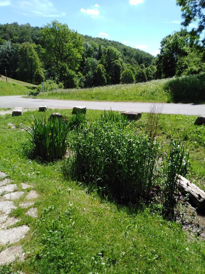 Ferienwohnung Mit Kleinem Garten Sonnenbühl Esterno foto
